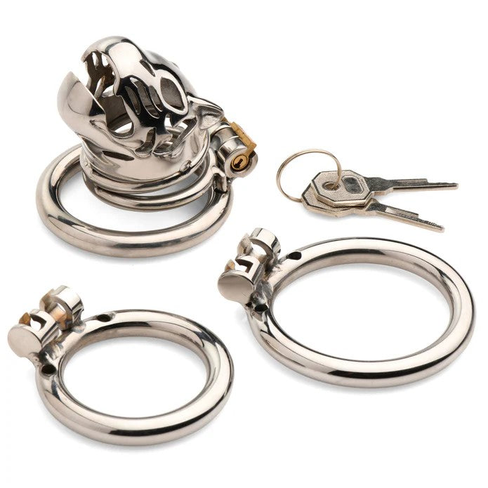 Stainless-Steel Caged Cougar Locking Chastity Cage