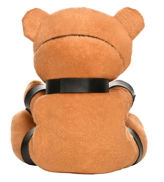 Master Series Gagged Teddy Plush Bear