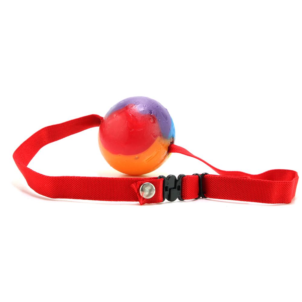 Rainbow Candy Ball Gag